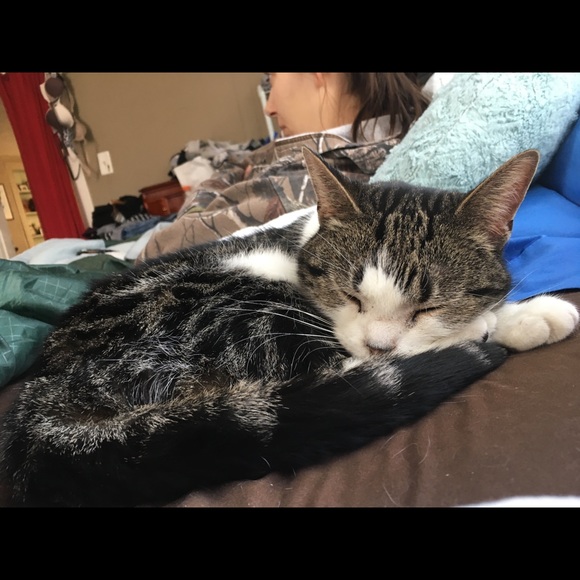 Meet your Posher, Isabela - Picture 1 of 1